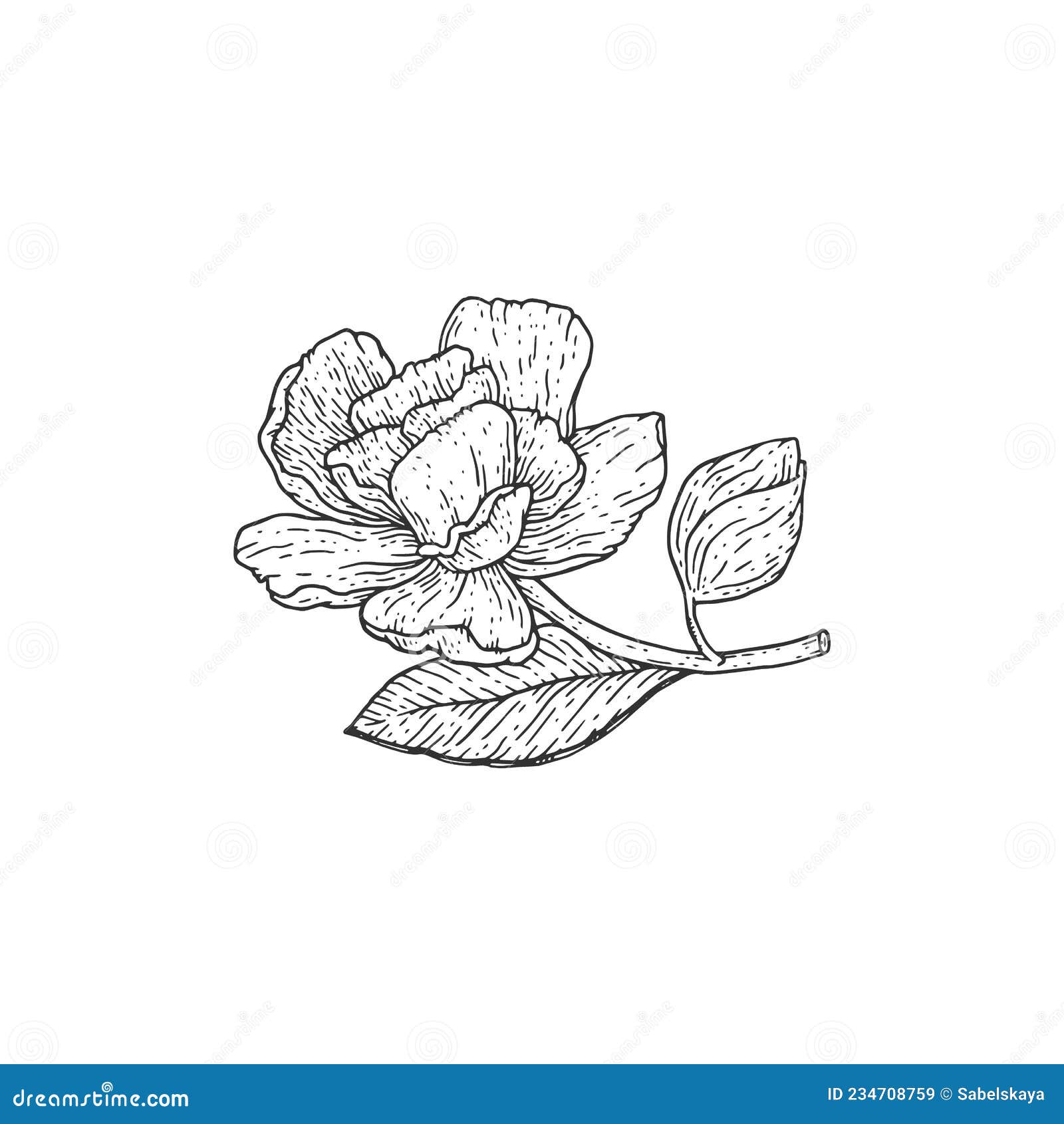 22 Gardenia Tattoo Designs  Meaning For Women  Tattoo Twist