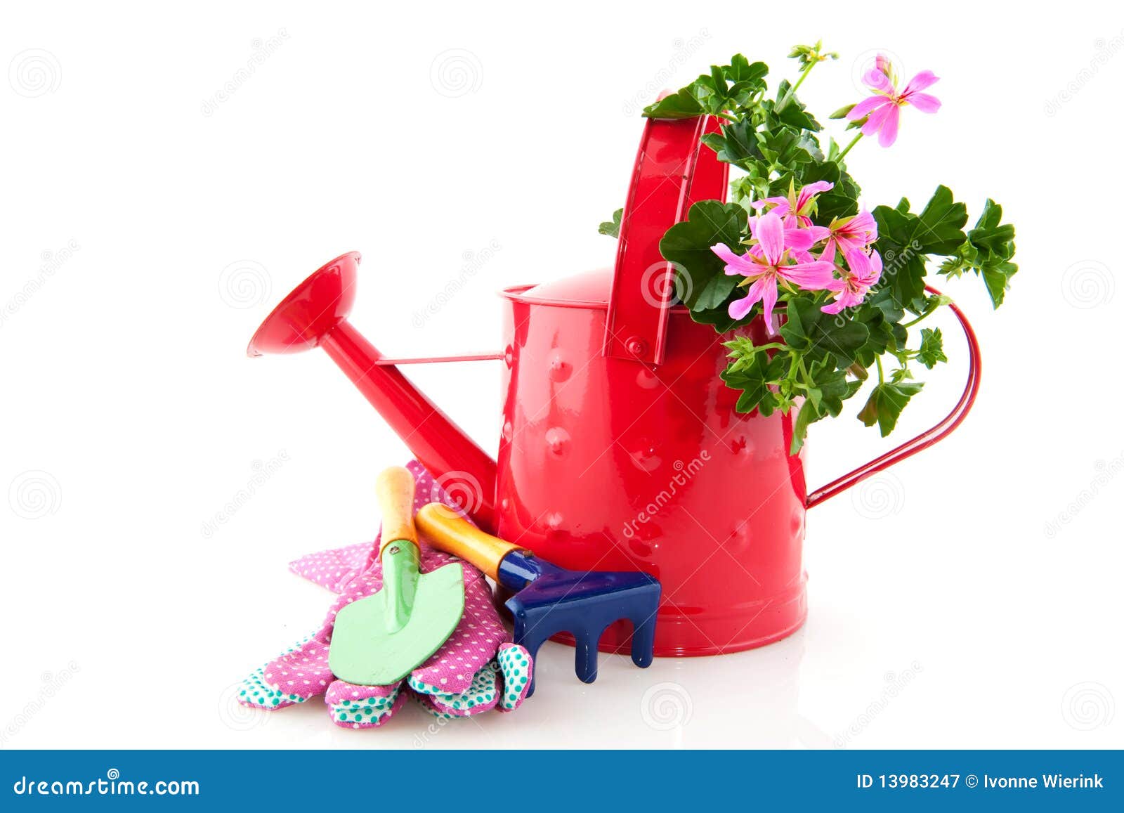 Gardening stock image. Image of plant, watering, garden - 13983247