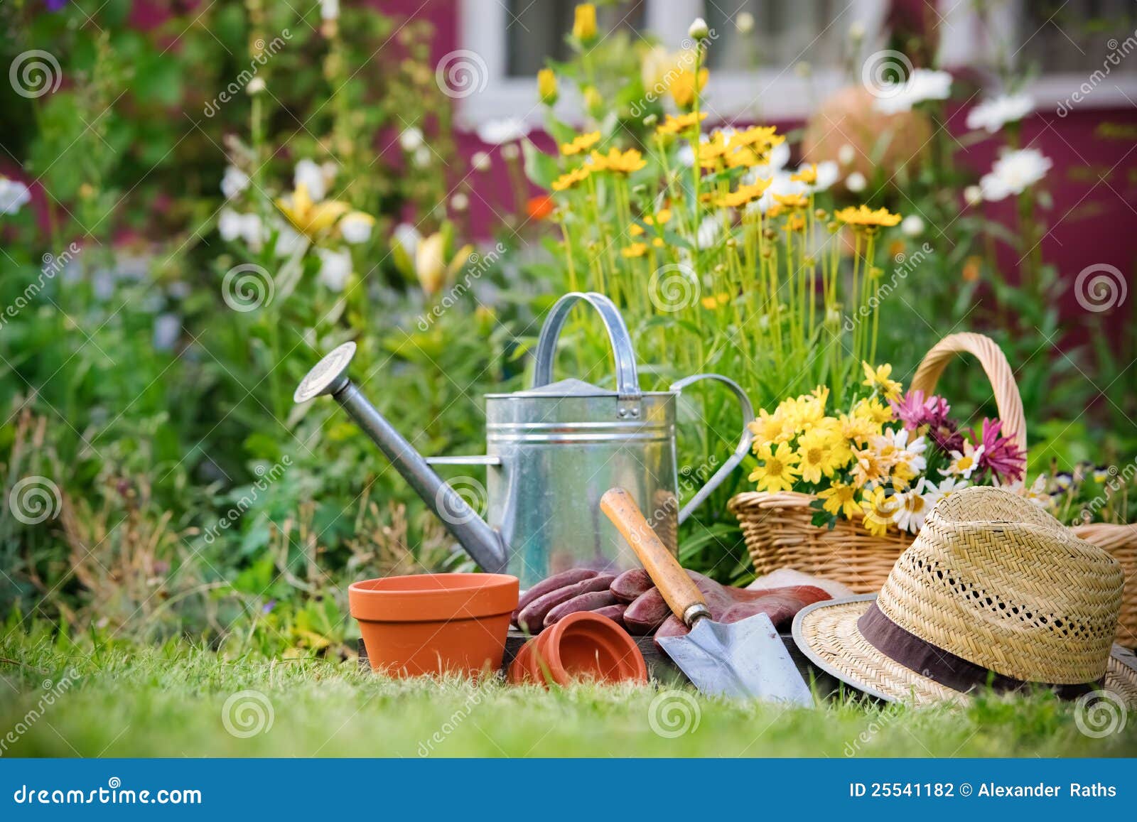 Gardening stock photo. Image of blossom, flowerbed, botany  25541182