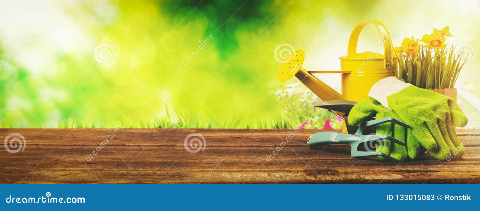 gardening banner - gardener tools on green garden background