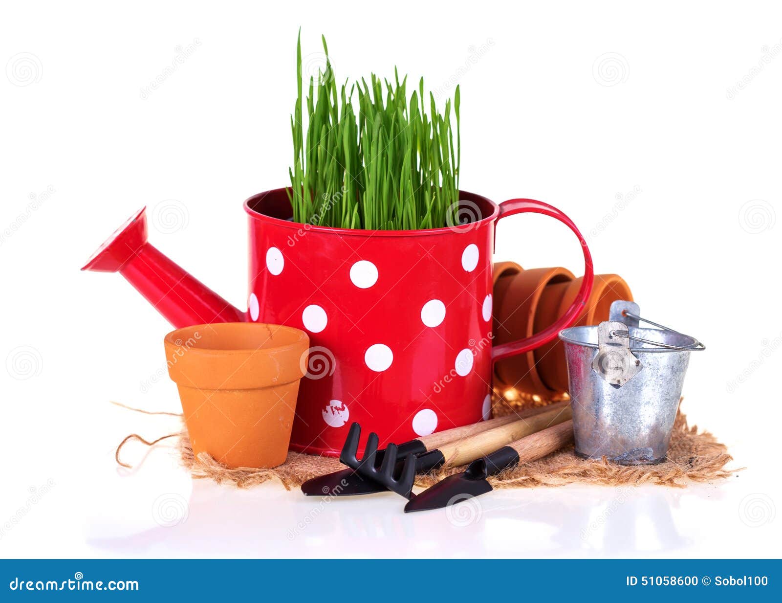 Garden tools, pots and grass in watering can isolated on white background. Gardening concept. Selective focus is on pot and tools.