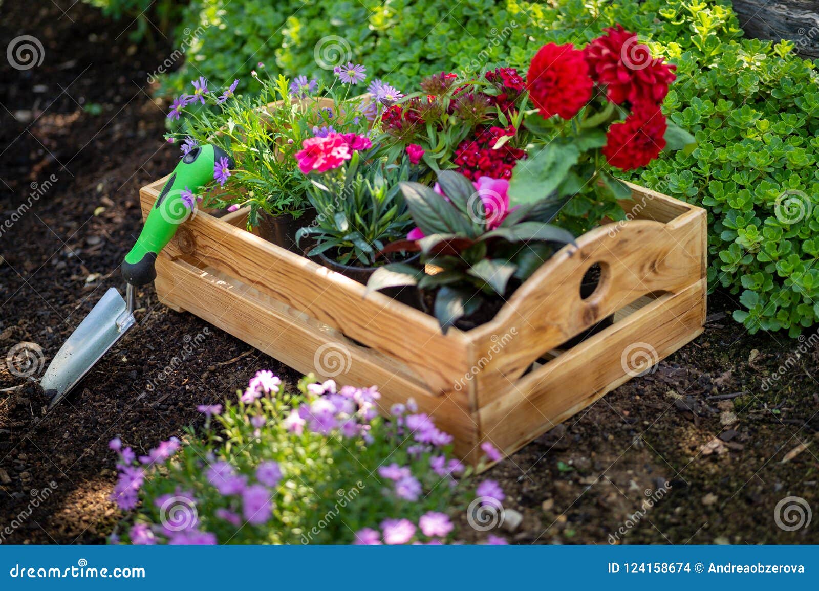 Gardening Crate Full Of Gorgeous Plants Ready For Planting In