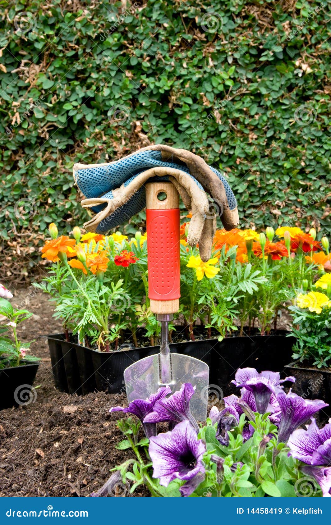 Gardening Equipment And Flowers Stock Image Image of gloves, multi