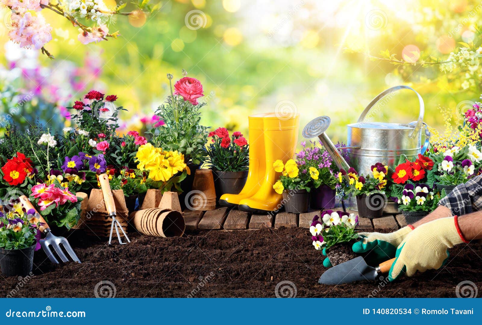 gardening - equipment for gardener and flower pots