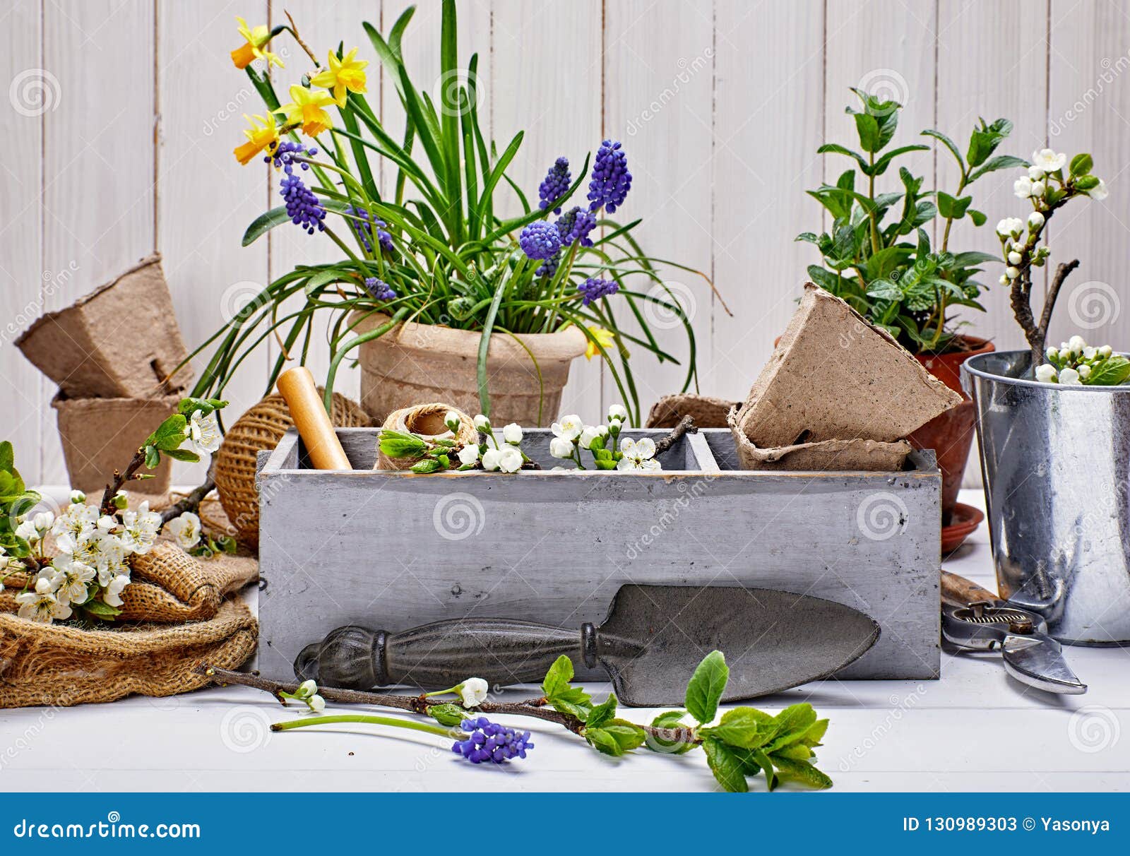 gardening and floriculture spring flower with garden