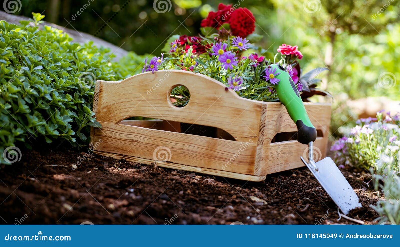 gardening. garden tools and crate full of gorgeous plants ready for planting in sunny garden. spring garden works concept.