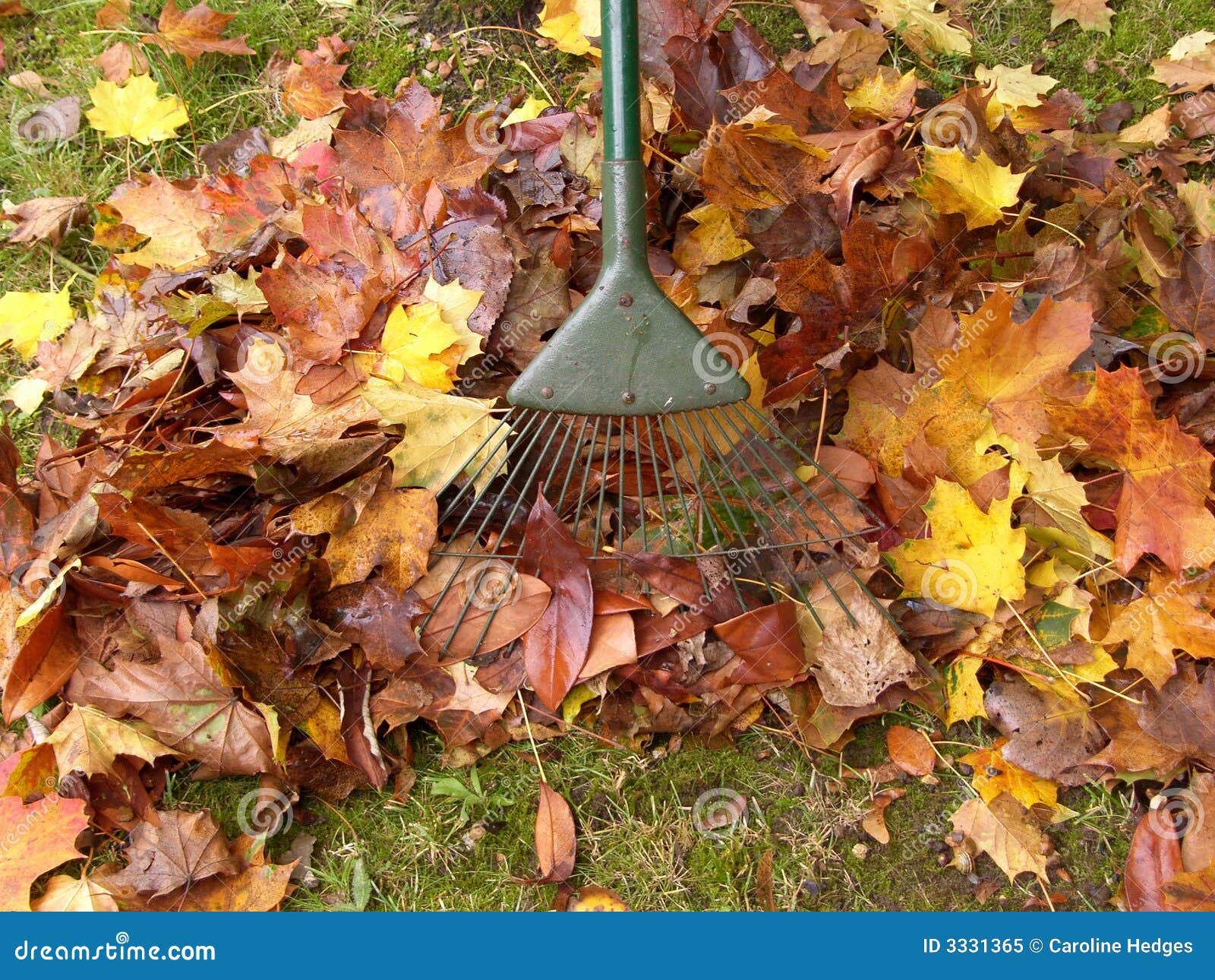 Gardening Jobs stock image. Image of gardening, work, dead - 3331365