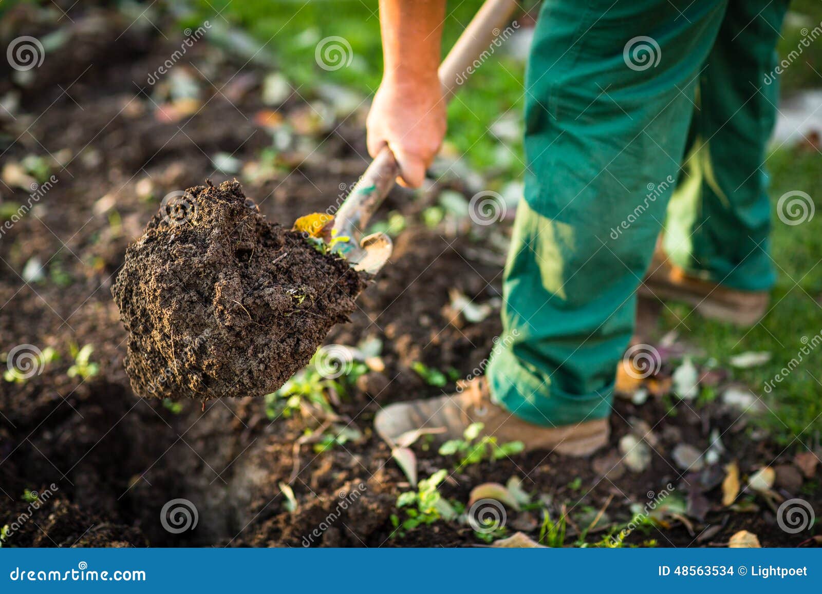 gardening - man digging the garden soil with a spud