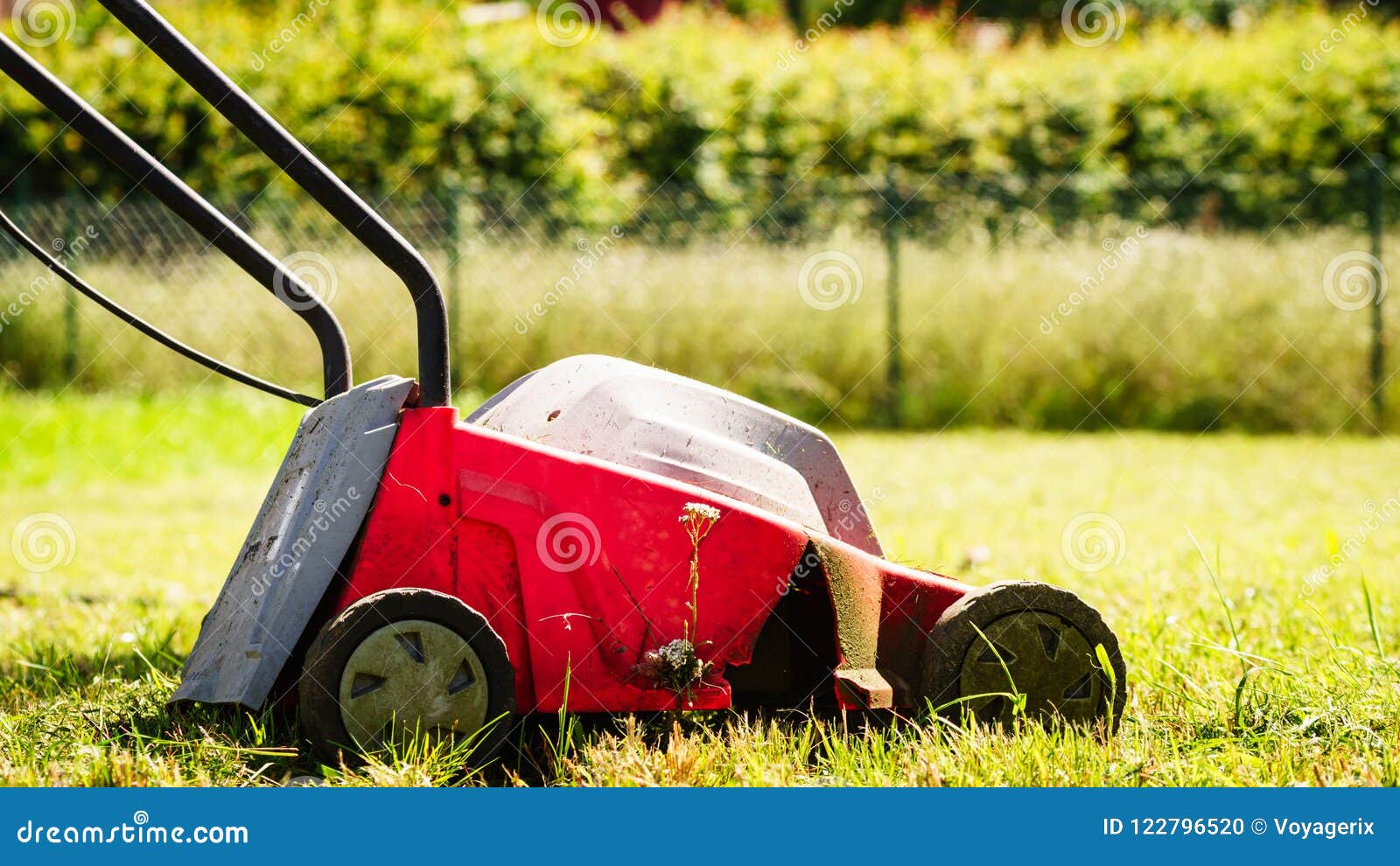 old screensavers lawnmower man old screensavers lawnmower man
