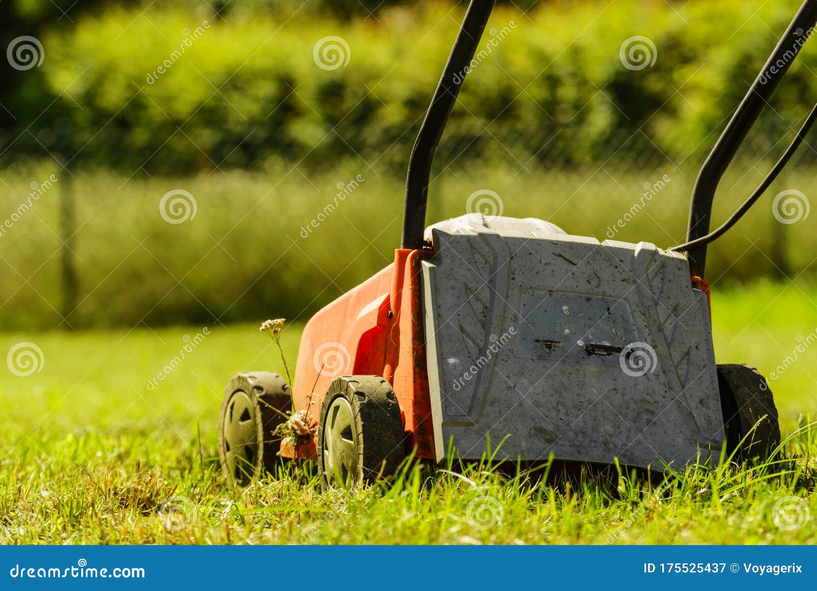 old screensavers lawnmower man old screensavers lawnmower man