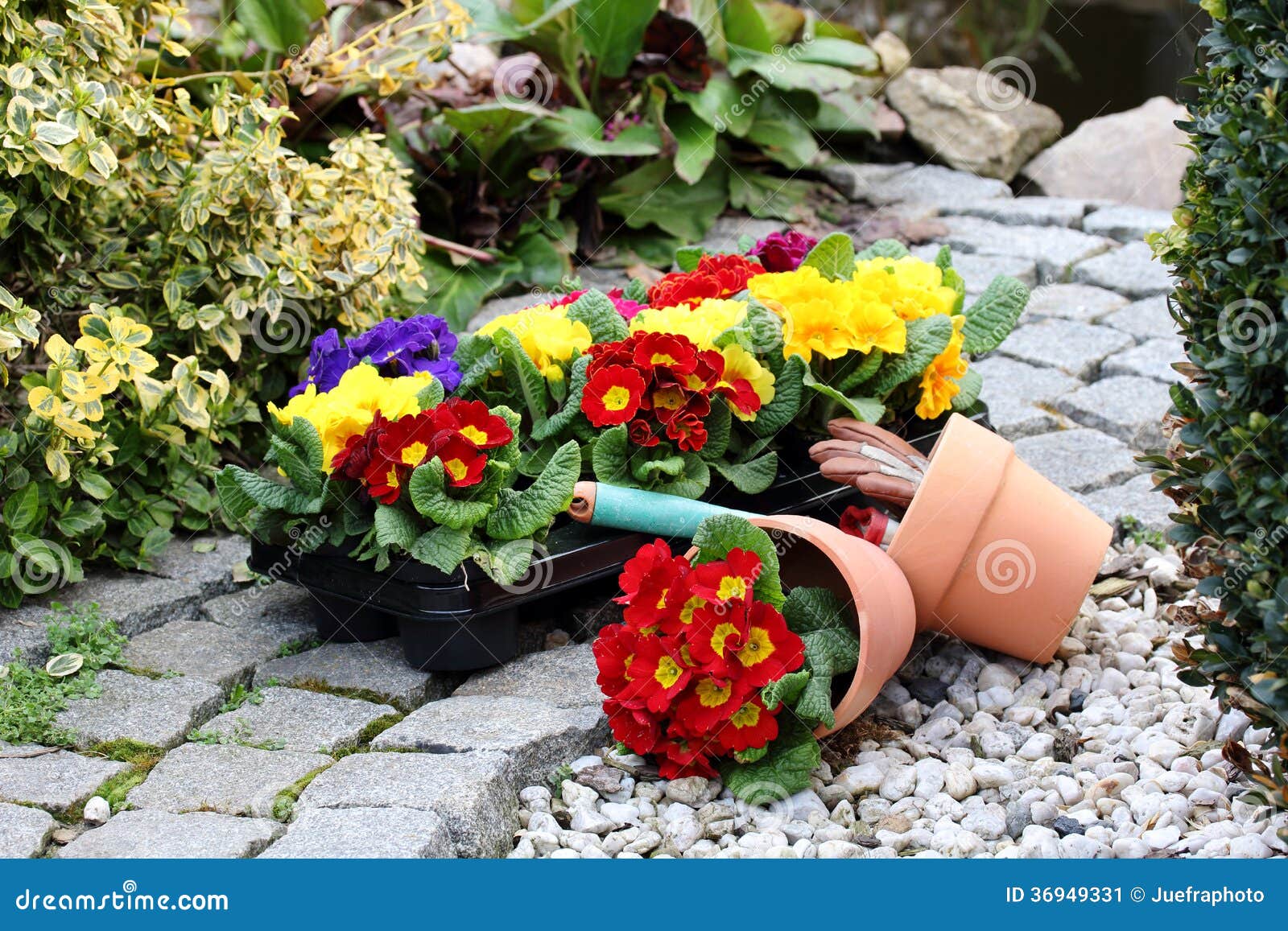 Gardening season. Spring in the garden with flowers in pots