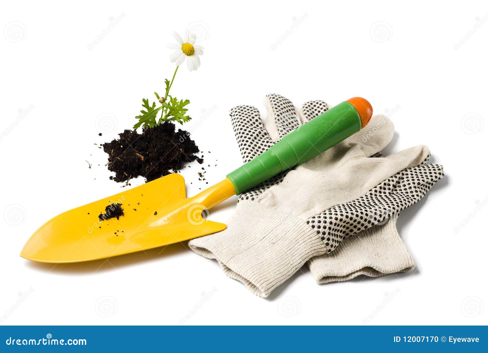Gardening Shovel and Gloves Stock Photo Image of plant, life 12007170