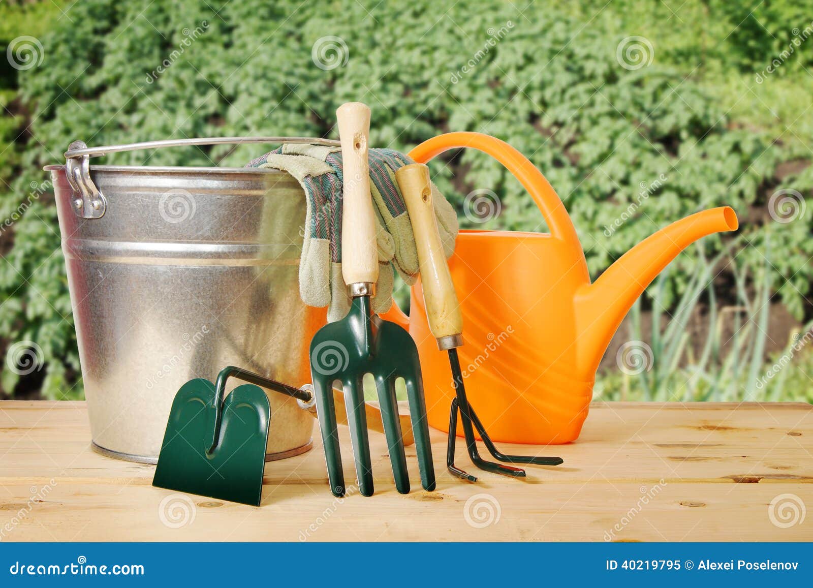 Gardening still life with various tools against green plantation