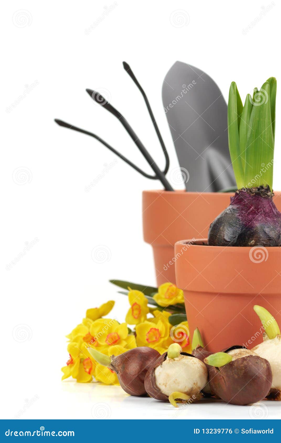 Gardening supplies stock photo. Image of organic, horticulture 13239776