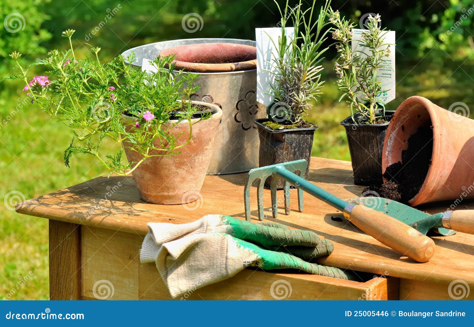Gardening table stock photo. Image of plants, leisure 25005446