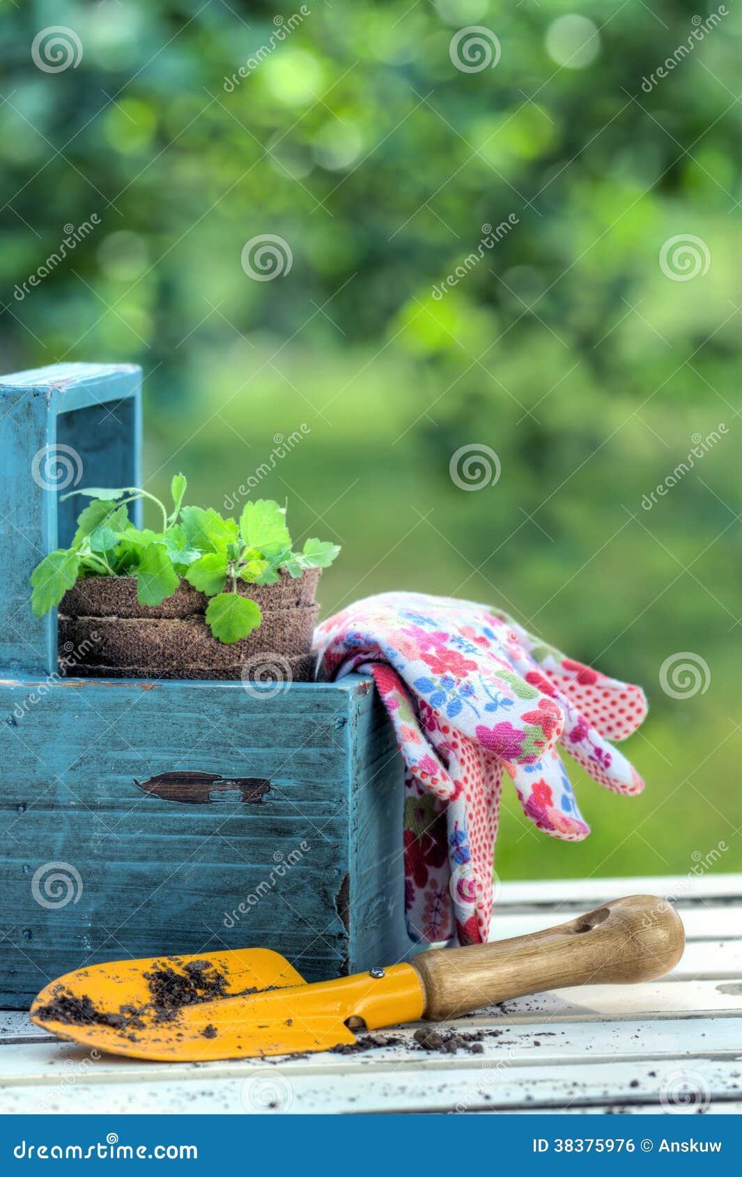 Gardening Tools in a Blue Wooden Tool Box Stock Photo Image of space