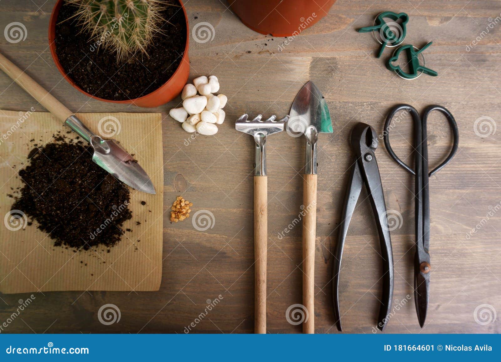 gardening tools and bonsai care at home