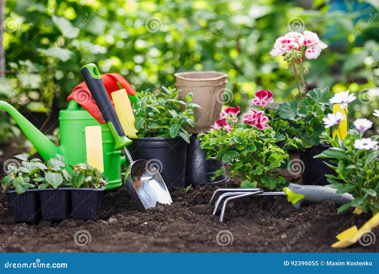 Gardening Tools and Flowers in Pot for Planting at Backyard. Stock Image Image of planting
