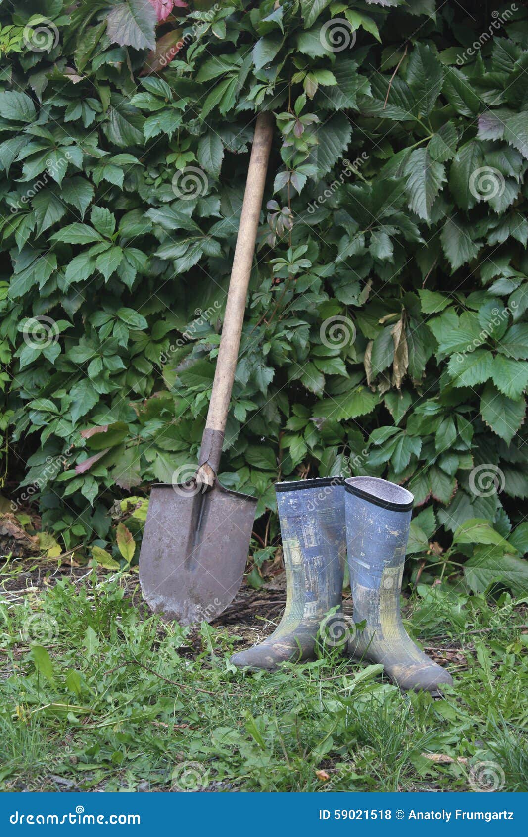 Gardening tools stock photo. Image of tools, fence, gumboots 59021518
