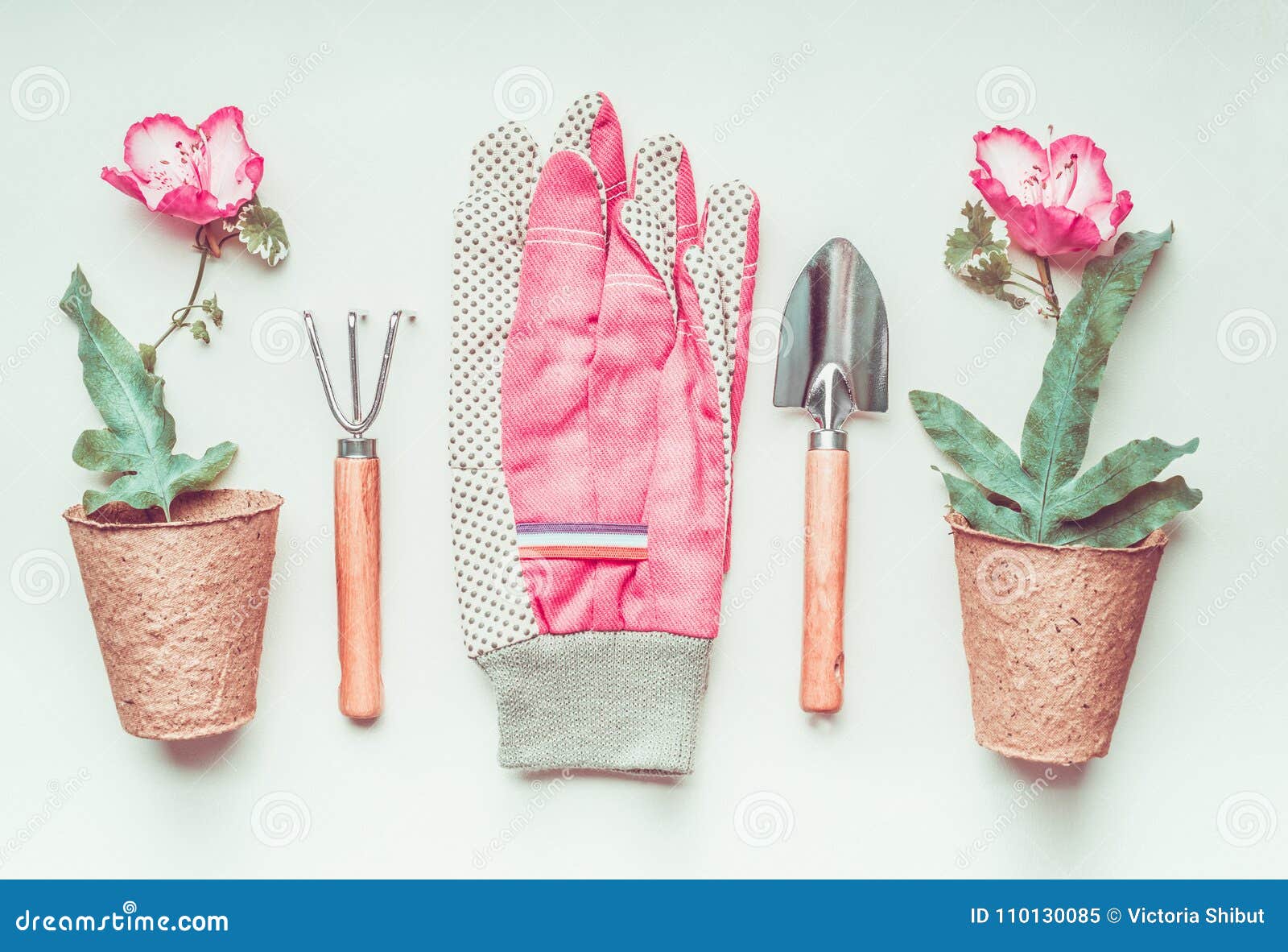Gardening Tools Set Layout With Plant Flowers Pot And Pink Gloves