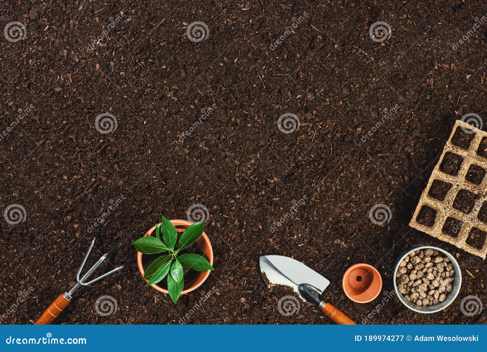 Download 383 Mockup Garden Tools Photos Free Royalty Free Stock Photos From Dreamstime