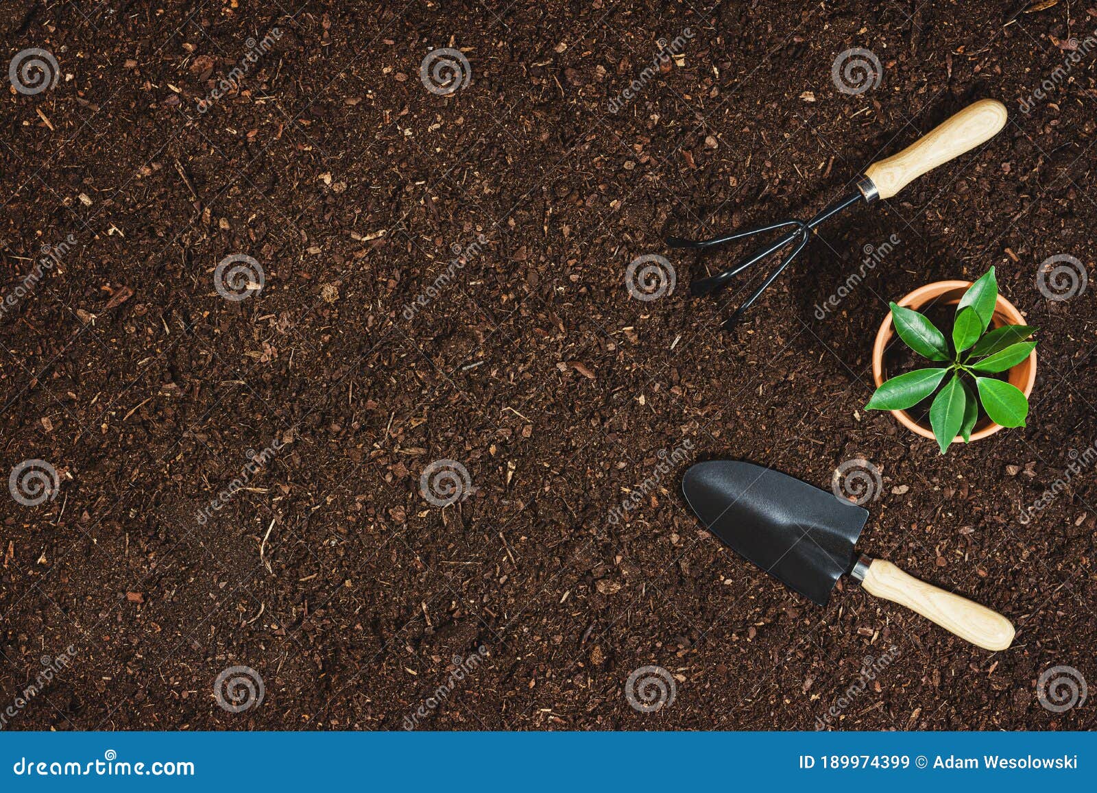 Download 383 Mockup Garden Tools Photos Free Royalty Free Stock Photos From Dreamstime