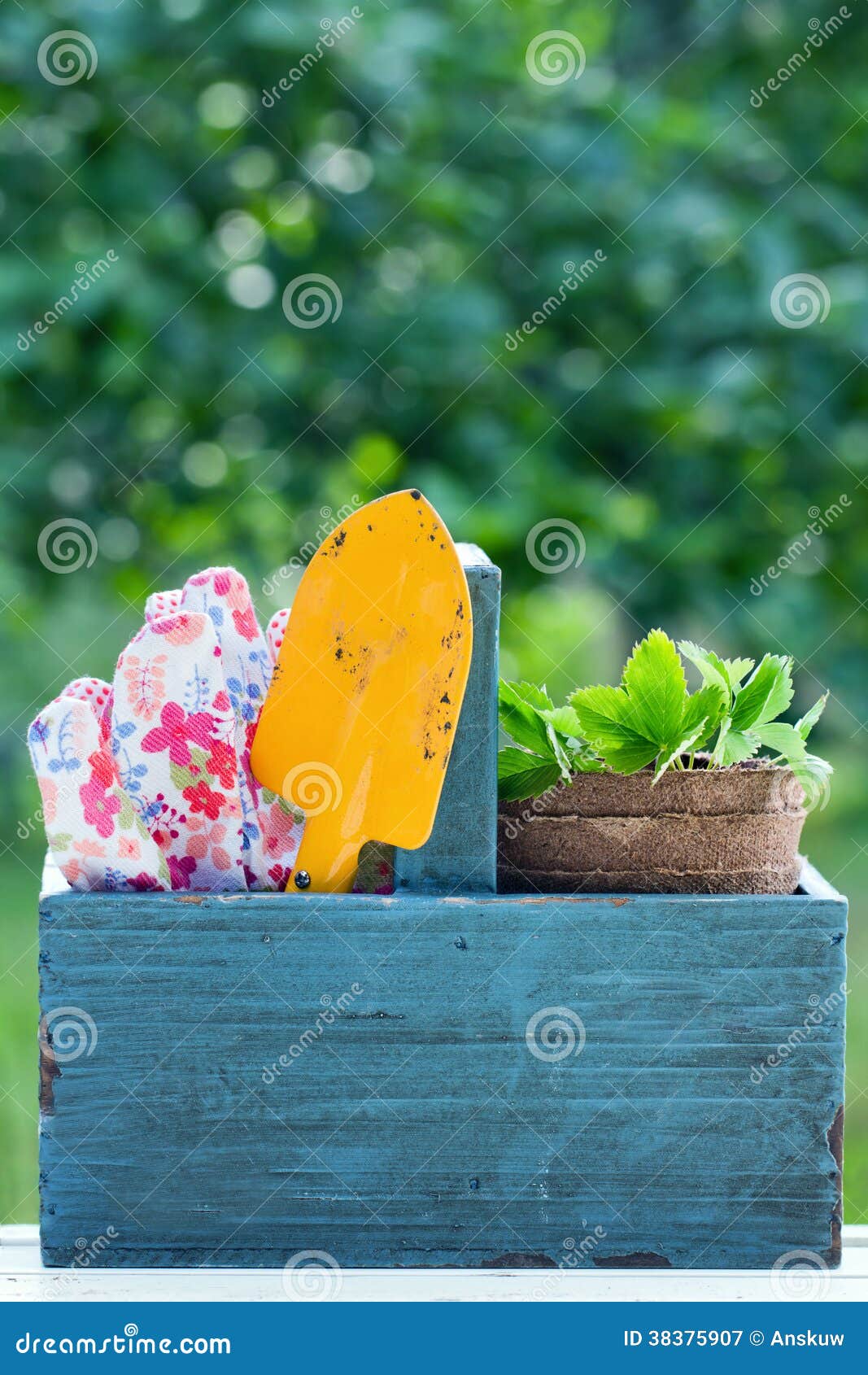 Gardening Tools in a Wooden Tool Box Stock Image Image of copy, strawberry 38375907