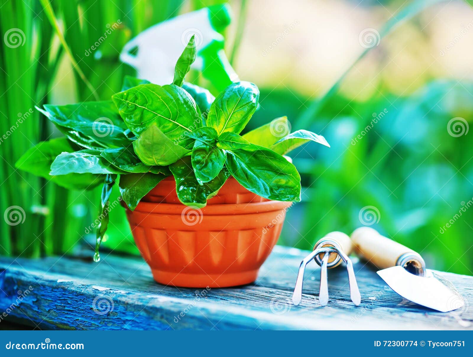 Gardening utensil stock photo. Image of horticulture 72300774