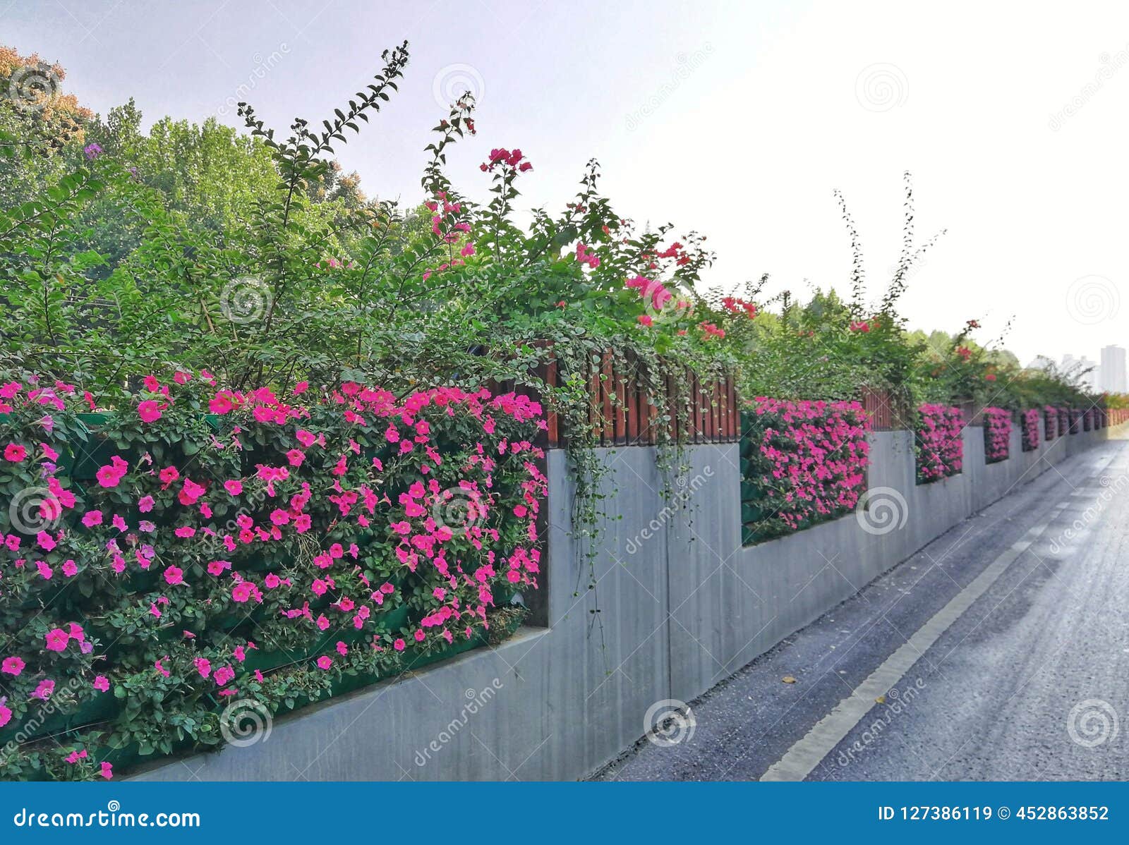 Gardening Vertical Landscape Flower Wall At The Side Of The Road