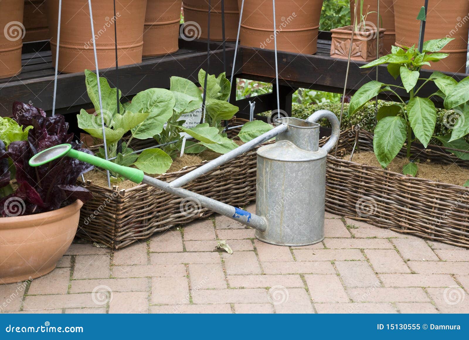 Gardening Watering Can and Flower Pots Stock Image Image of