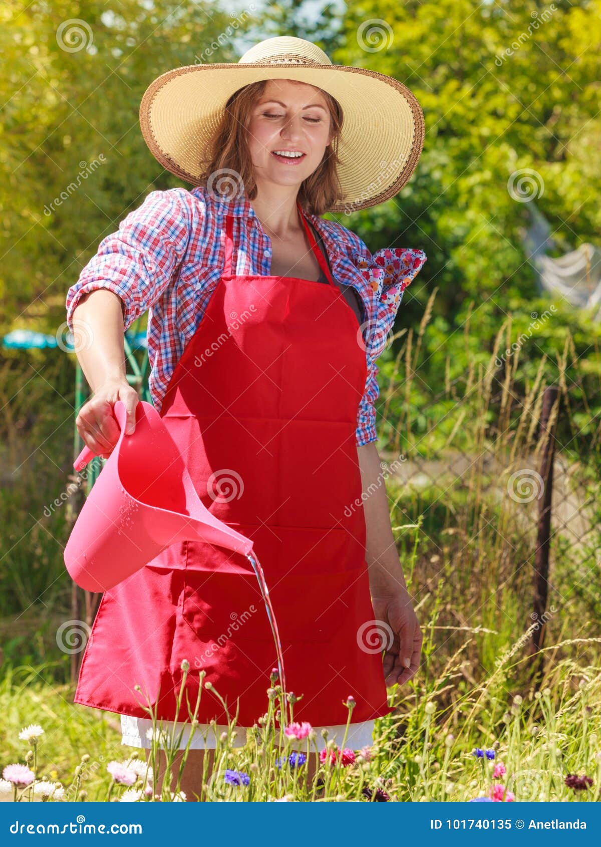 Woman Watering Flowers in Garden Stock Image - Image of summer, sunny ...