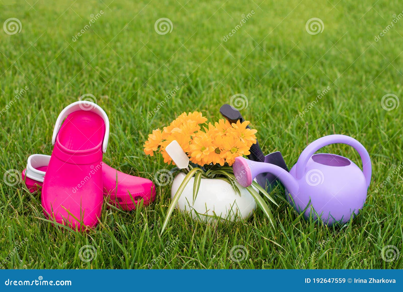 Download 383 Mockup Garden Tools Photos Free Royalty Free Stock Photos From Dreamstime