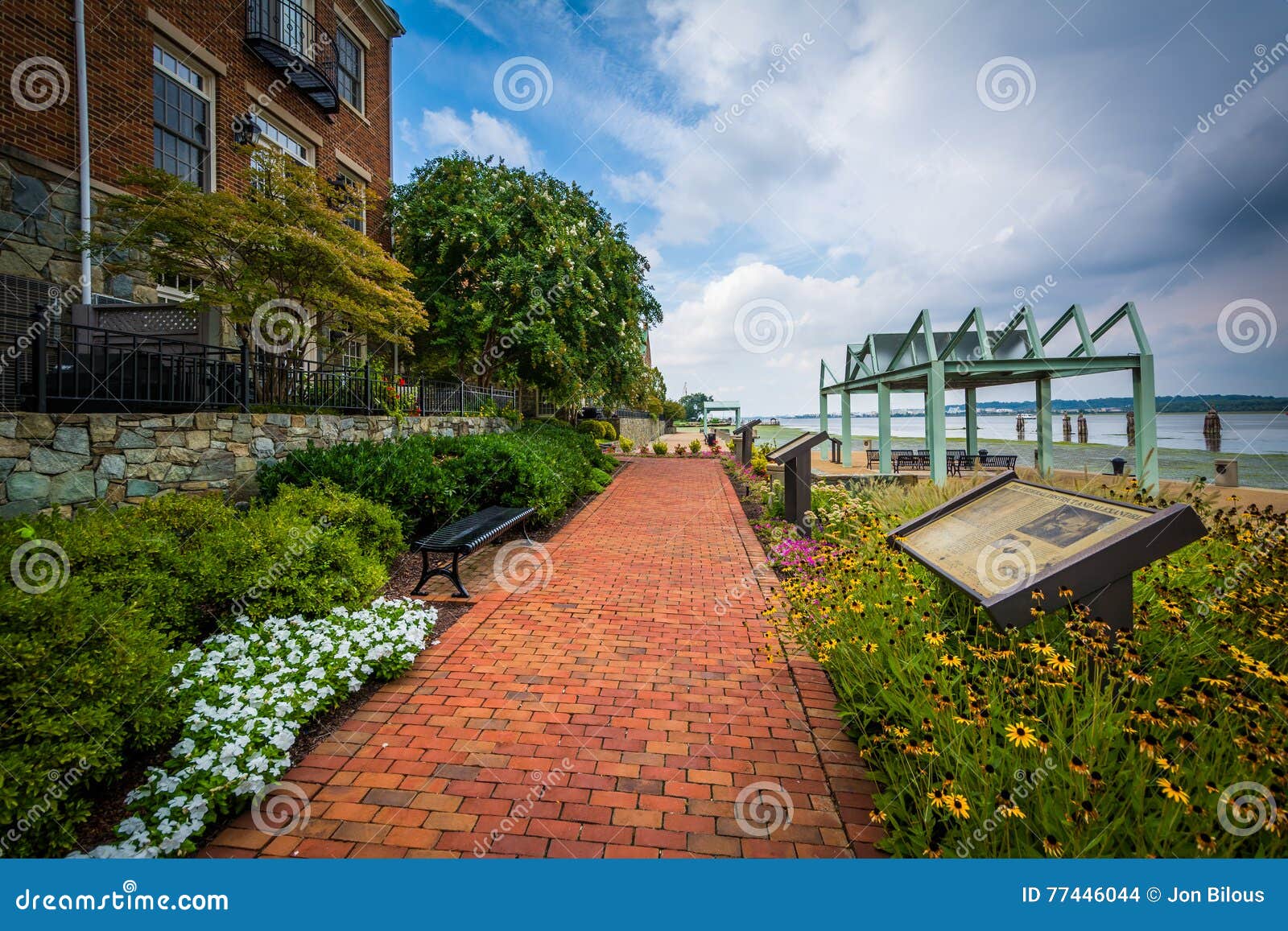 Gardens And Apartment Building Along The Potomac River Waterfron Gardens And Apartment Building Along The Potomac River Waterfron