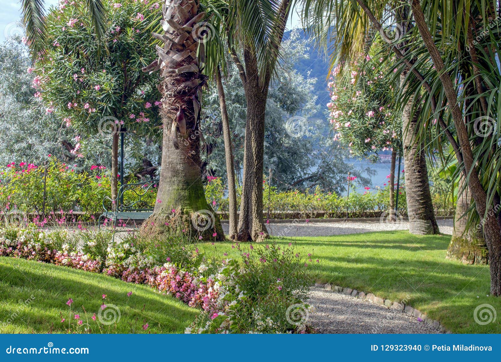 The Gardens Of Isola Madre Mother Island Lake Maggiore Northern