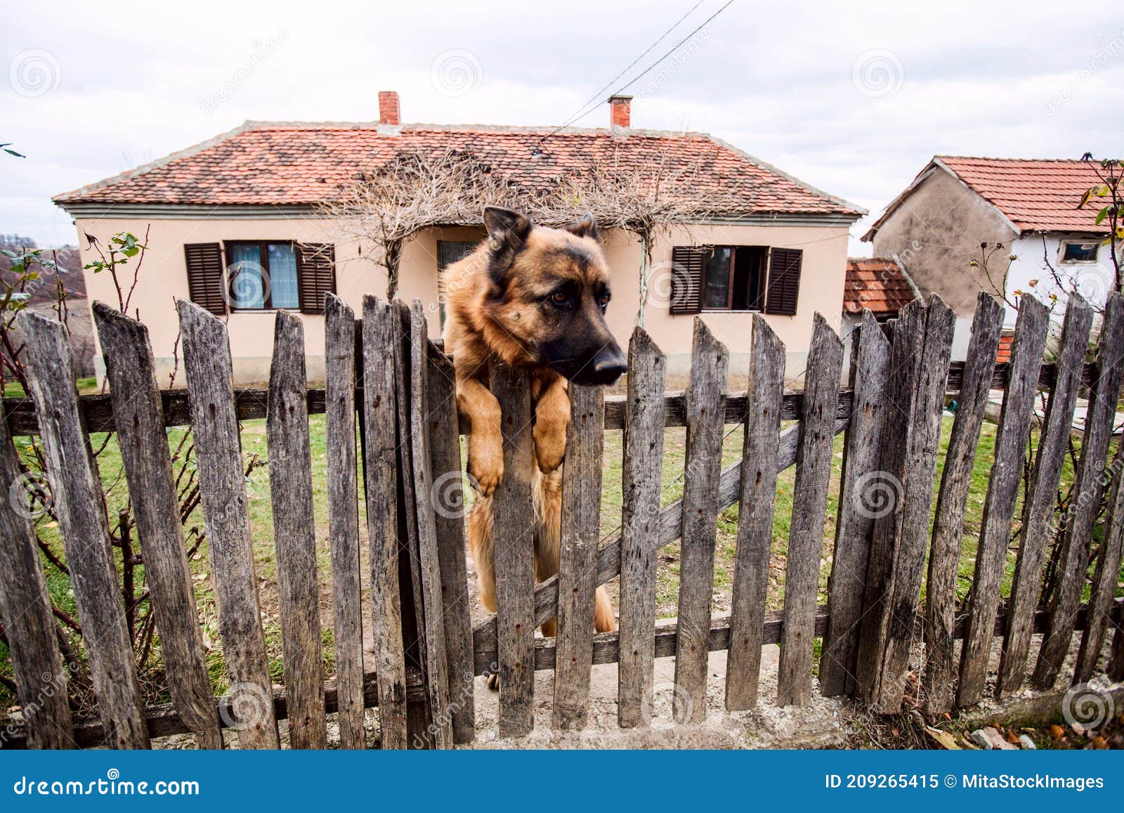 Gardien Propriété Rurale Privée Image stock - Image du nature, chien:  209265415