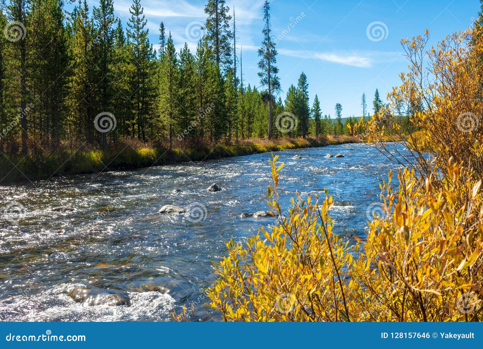 Gardner River On A Sunny Autumn Day Stock Photo Image Of Fall