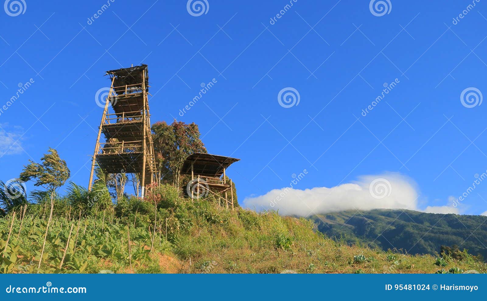 Gardu Pandang Silancur editorial stock image. Image of java - 95481024