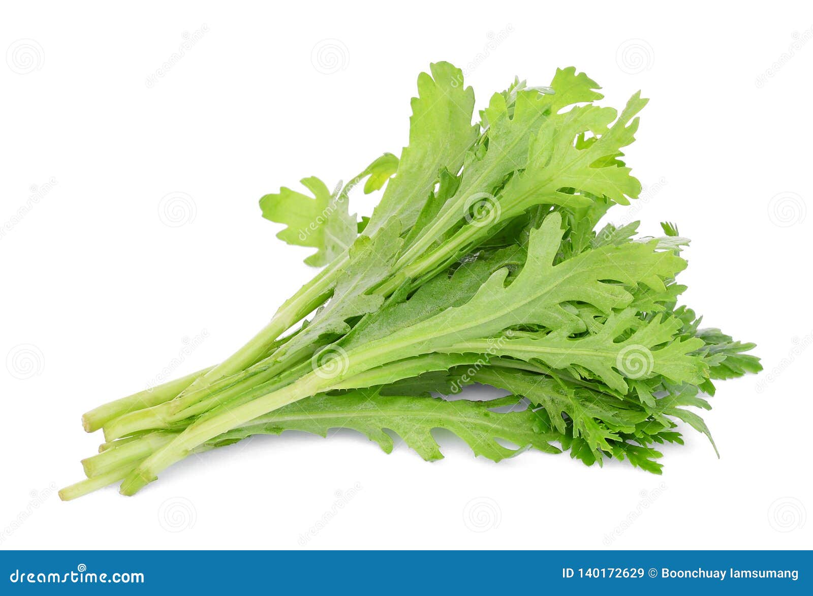 Garland Chrysanthemum Vegetable Isolated on White Stock Image Image of cabbage, garland 140172629