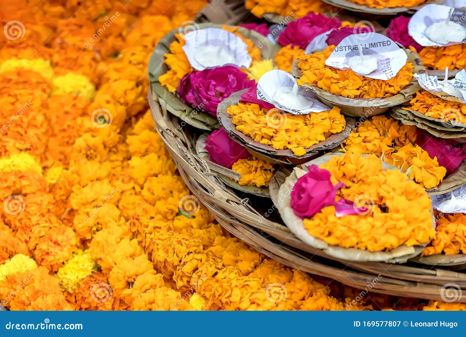 floating garlands of flowers and floating candles placed by pilgrims on the river ganges as offerings.