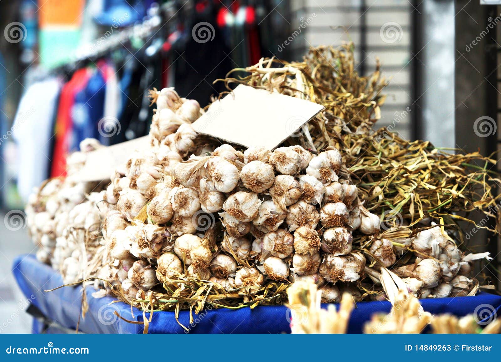 Garlic stock image. Image of background, flavor, italy 14849263