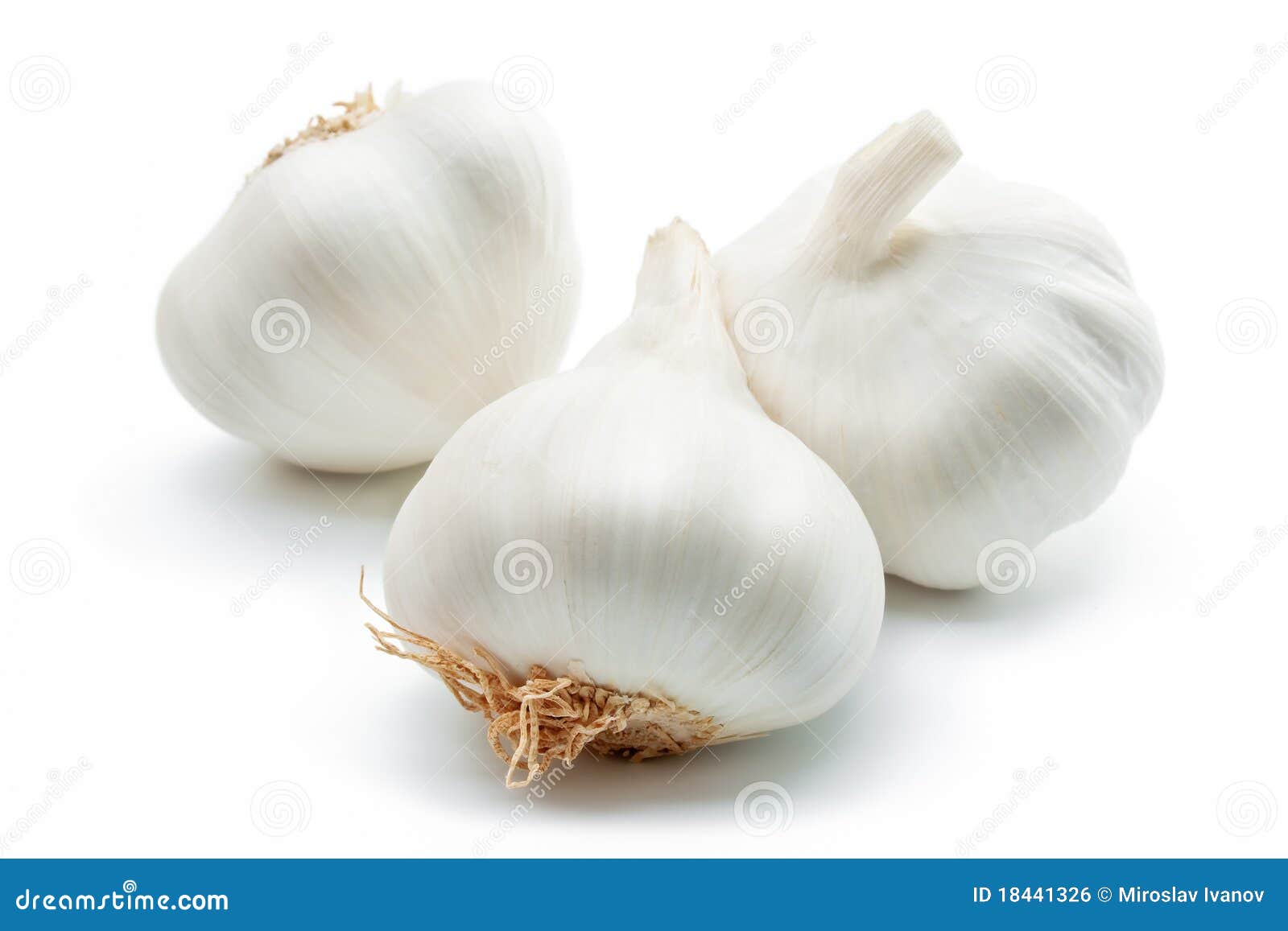 garlic