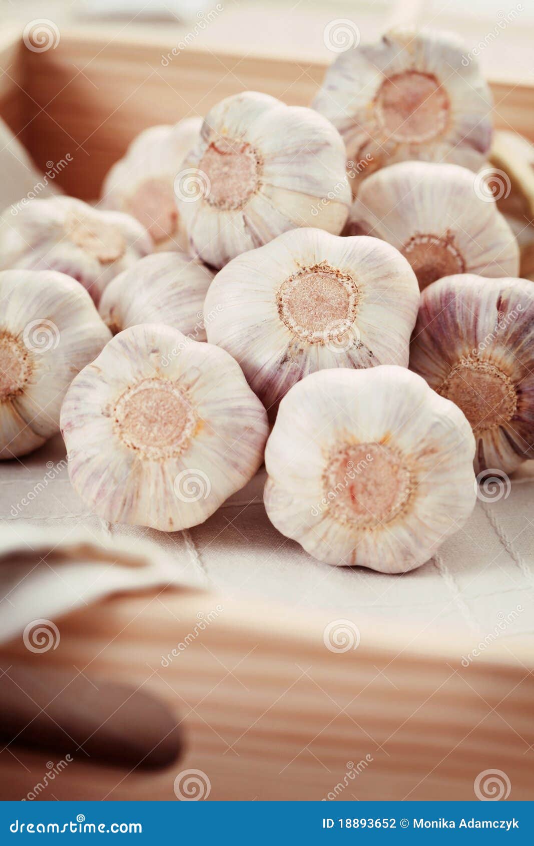 Garlic stock photo. Image of drink, spice, healthy, vegetarian 18893652