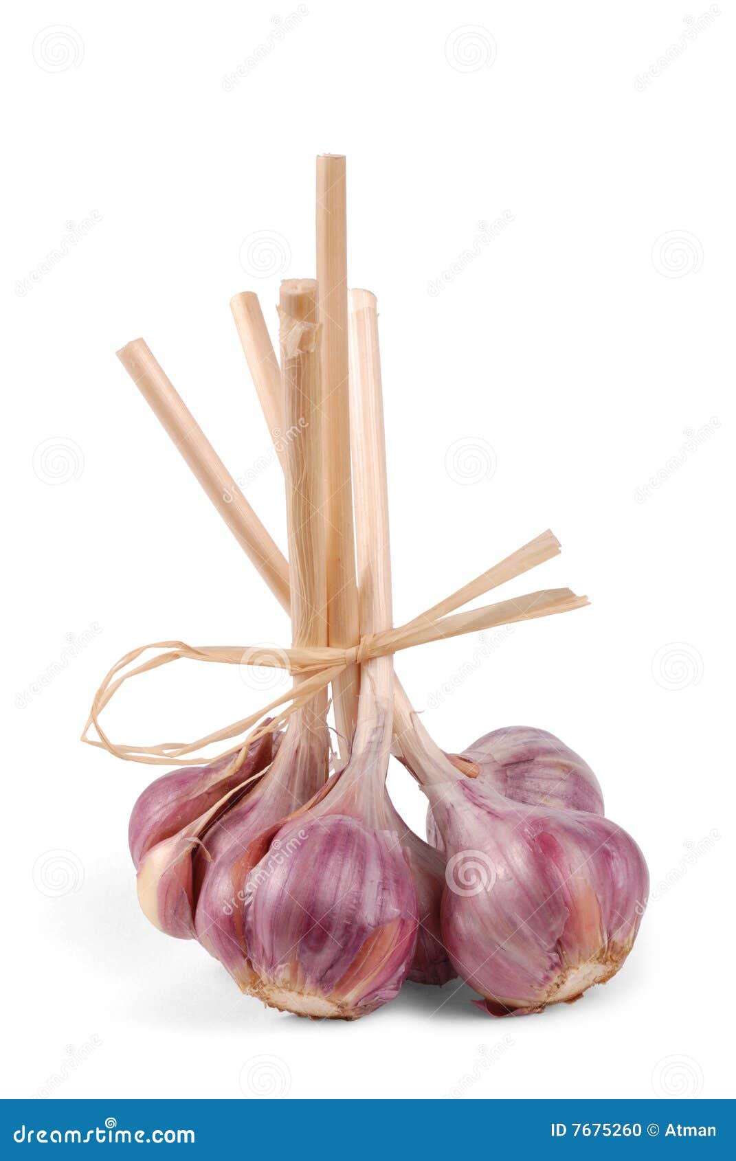 garlic