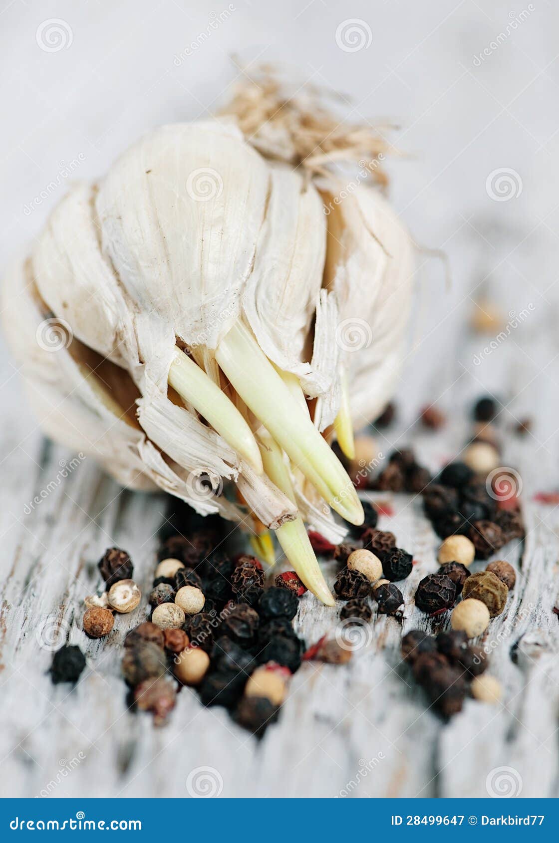 Garlic and black pepper stock image. Image of rustic 28499647