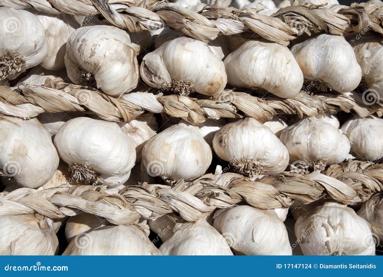 Garlic braid stock photo. Image of bundle, health, heads - 17147124