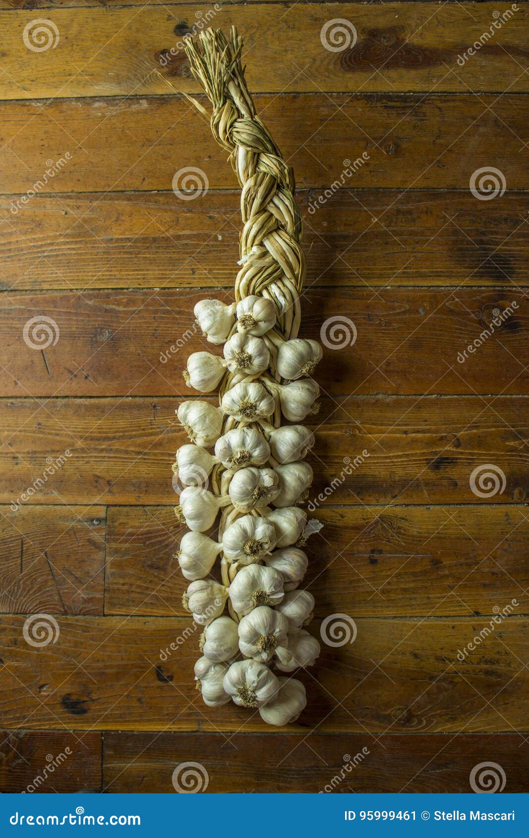 Garlic Braid stock image. Image of food, harvest, tasty - 95999461