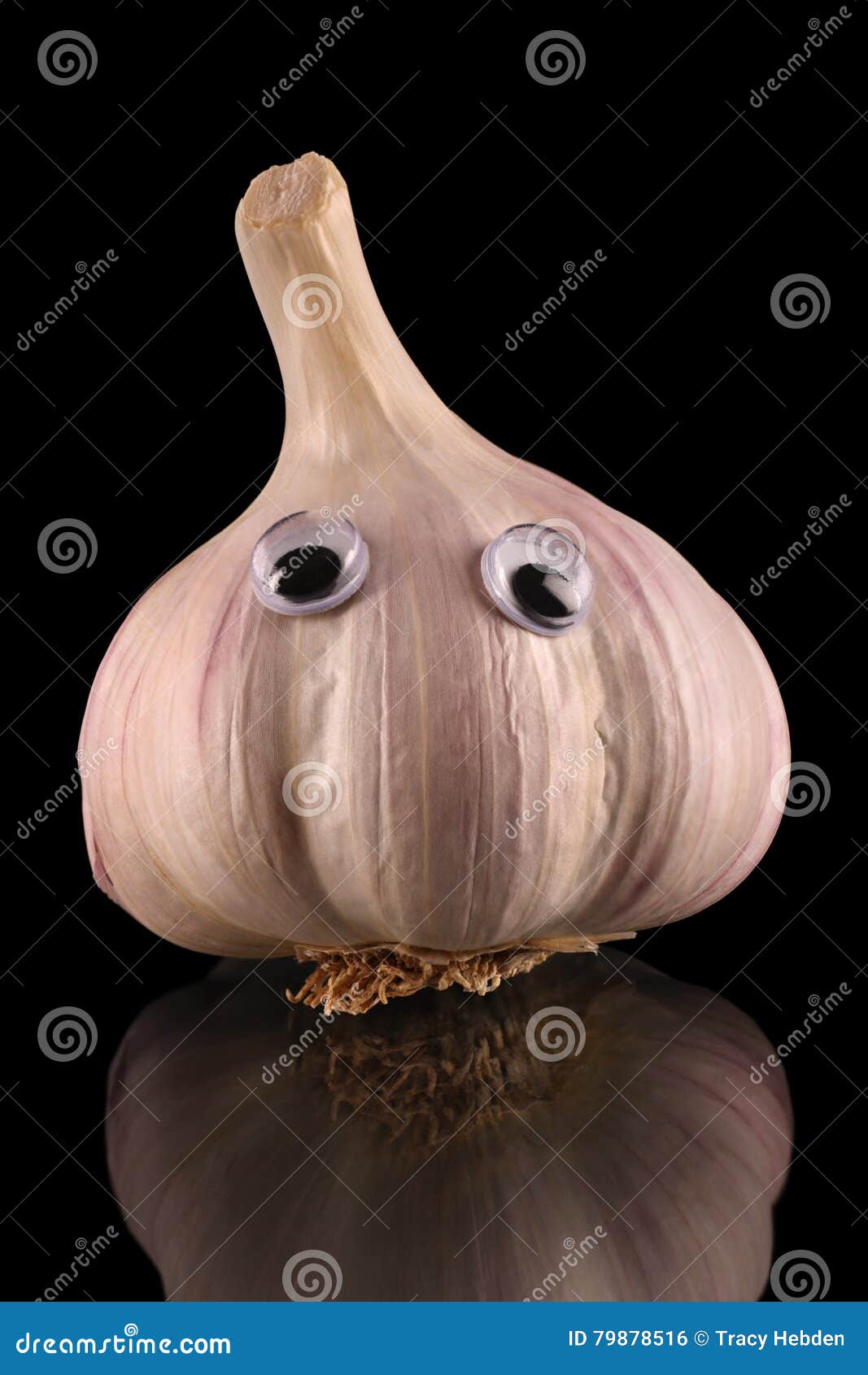 Garlic bub stock photo. Image of cute, probiscus, eyes 79878516