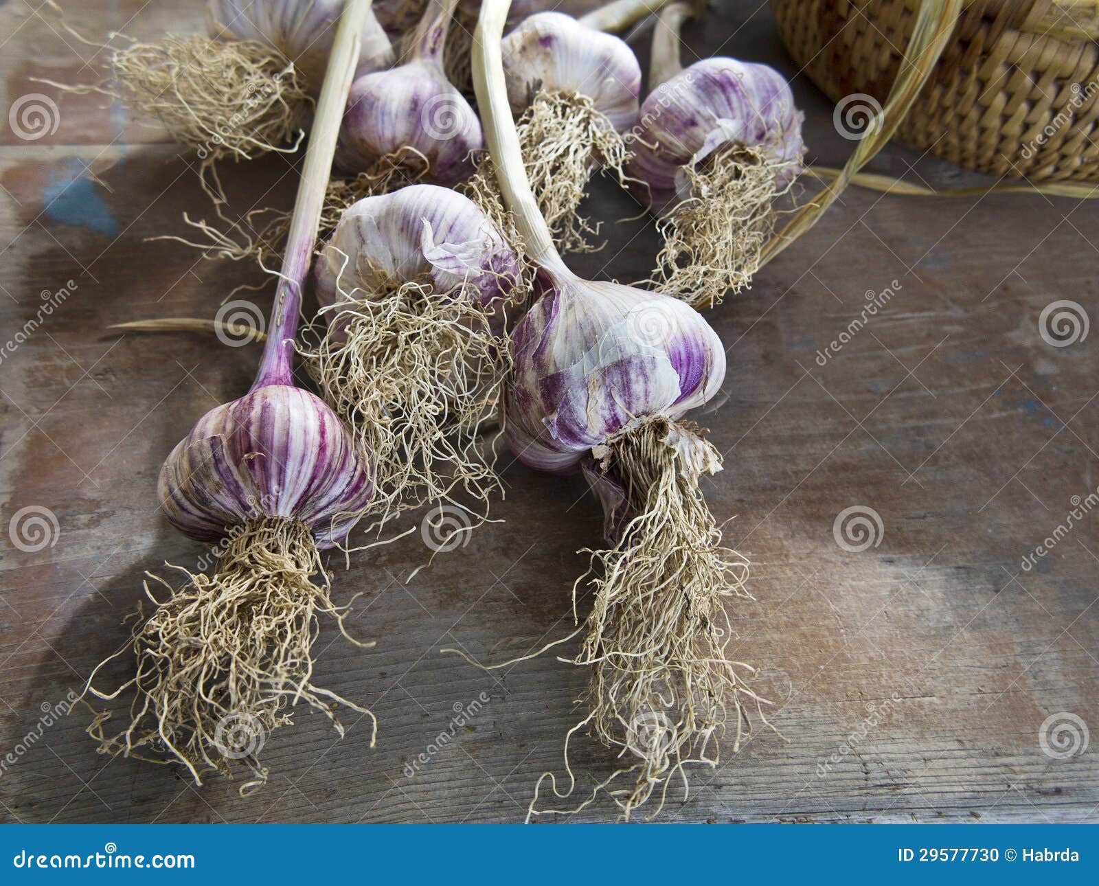 Garlic Buds Decorated in a Rustic Stock Photo Image of ingredients