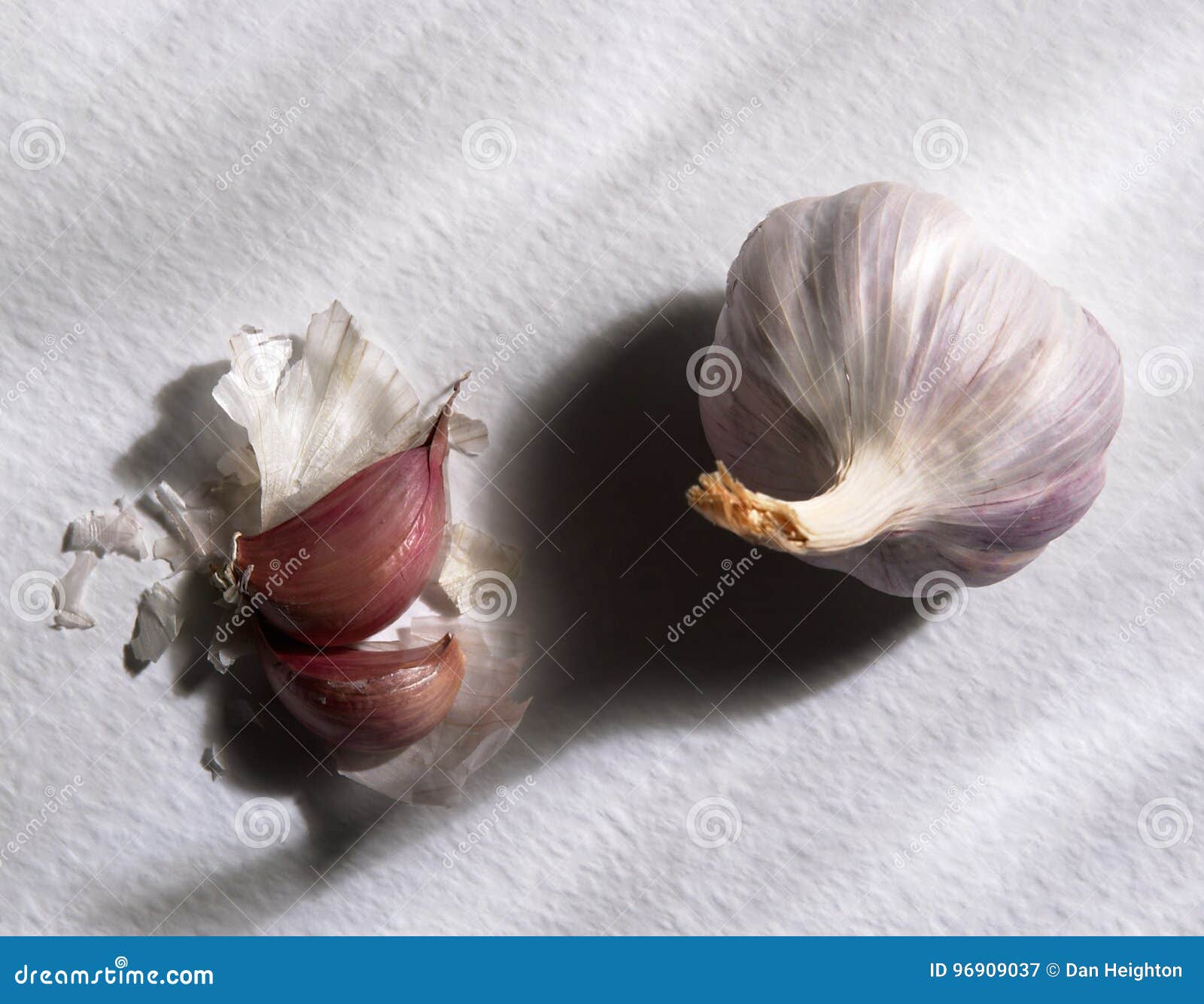Garlic Bulb and Two Cloves on White Background Stock Image Image of nutrients, healthy 96909037