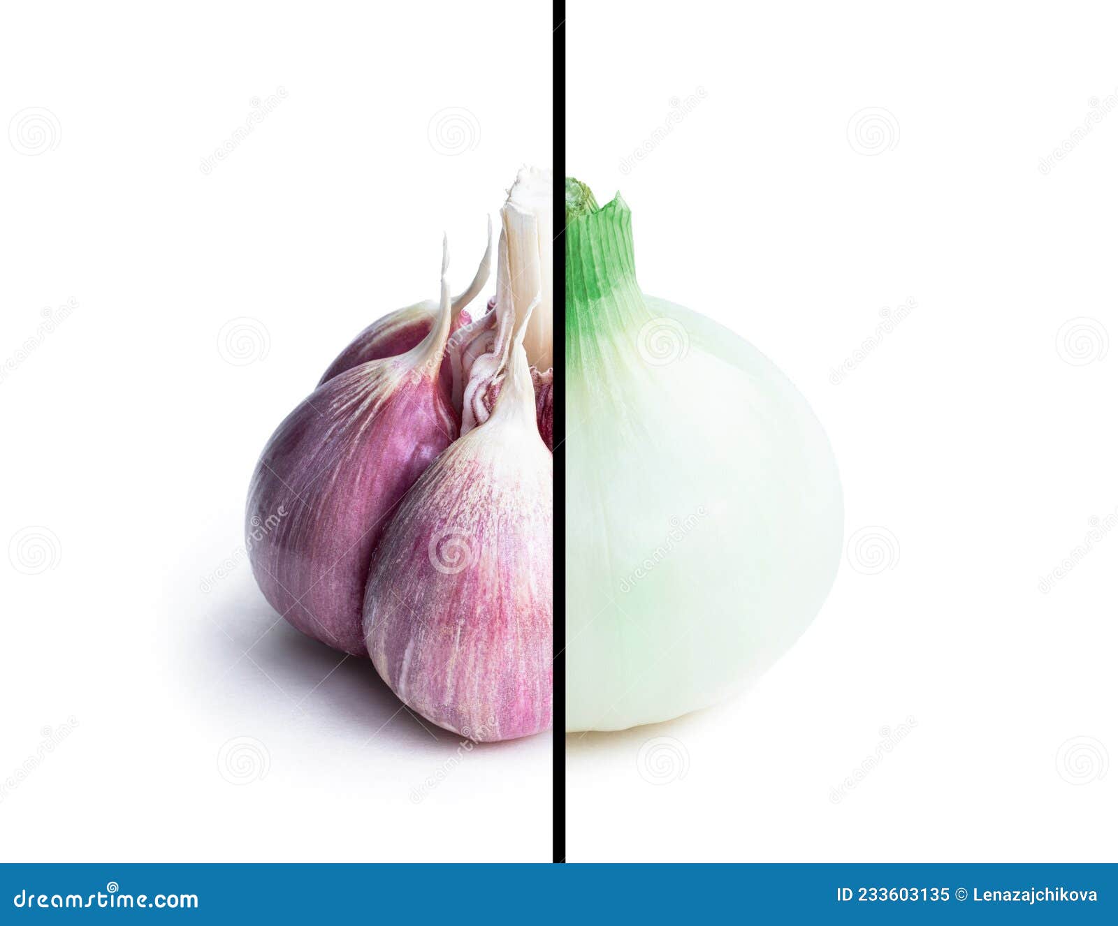 Garlic Bulb Vs Onion Bulb Comparison Concept Isolated on White Stock